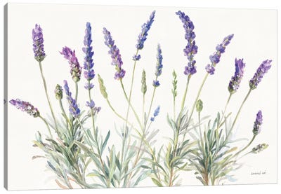 Floursack Lavender V on Linen Canvas Art Print - Herb Art