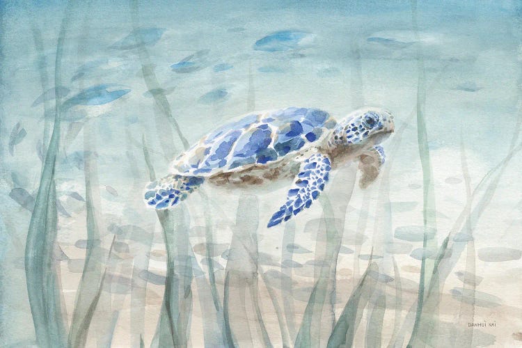 Undersea Turtle by Danhui Nai canvas print