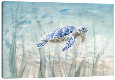 Undersea Turtle Canvas Art Print - Reptile & Amphibian Art