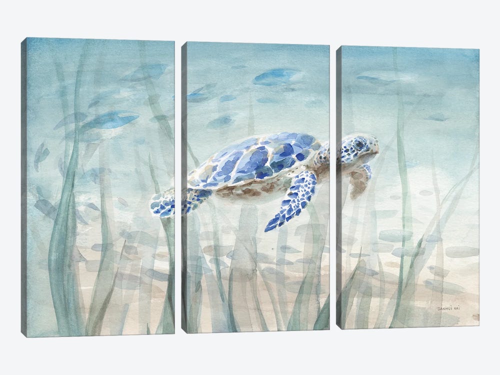 Undersea Turtle by Danhui Nai 3-piece Art Print