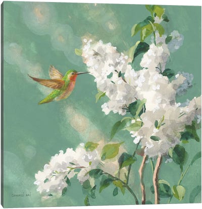 Hummingbird Spring I Canvas Art Print - Danhui Nai