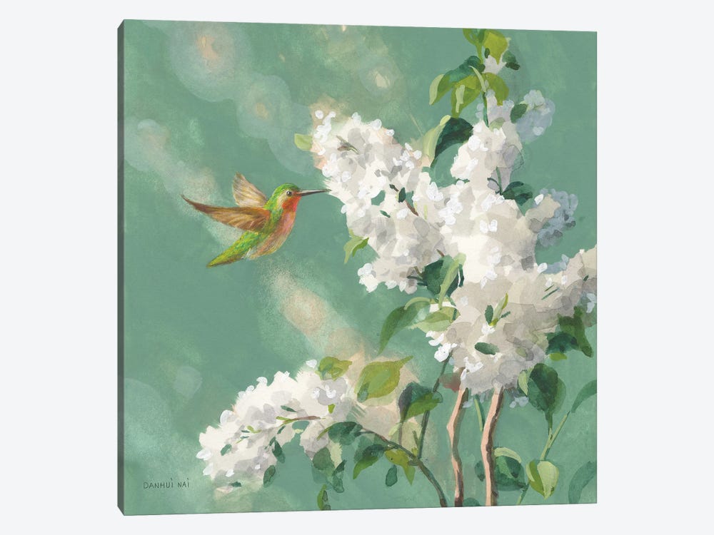 Hummingbird Spring I by Danhui Nai 1-piece Canvas Print