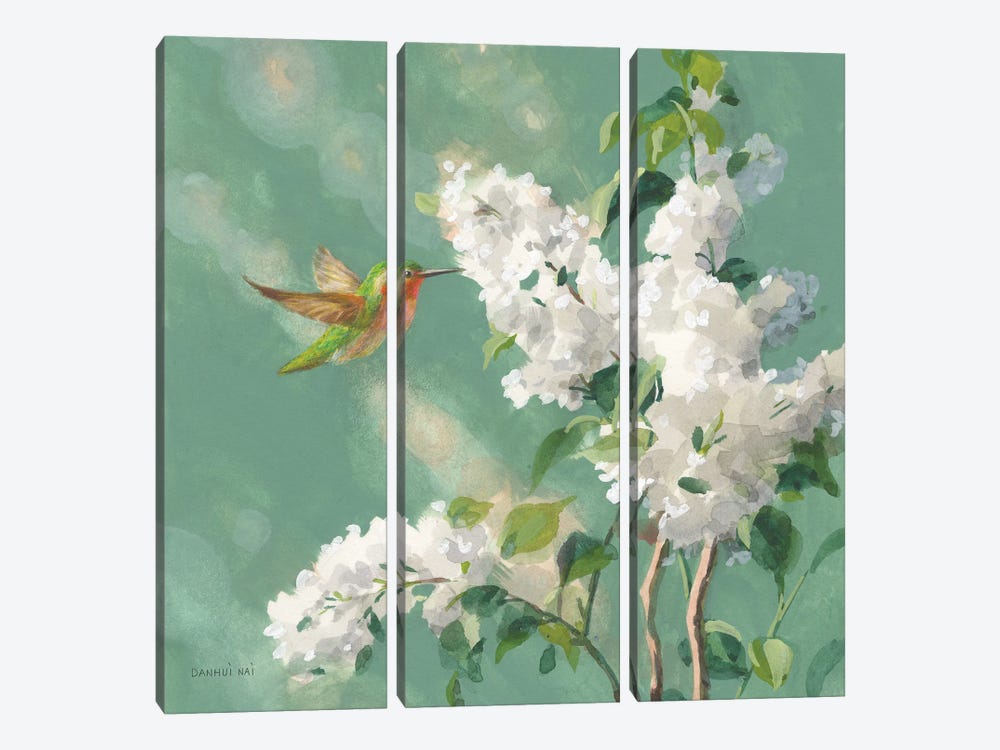 Hummingbird Spring I by Danhui Nai 3-piece Canvas Art Print