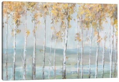 Lakeview Birches Canvas Art Print - Autumn Art