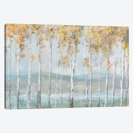 Lakeview Birches Canvas Print #NAI388} by Danhui Nai Canvas Artwork
