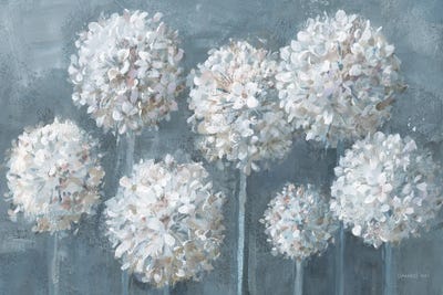 Simple Agapanthus by Danhui Nai framed canvas print