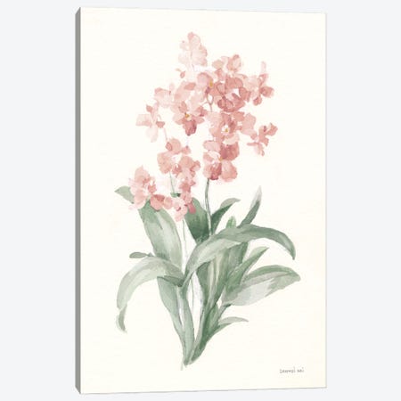 Spring Orchid I Canvas Print #NAI392} by Danhui Nai Art Print