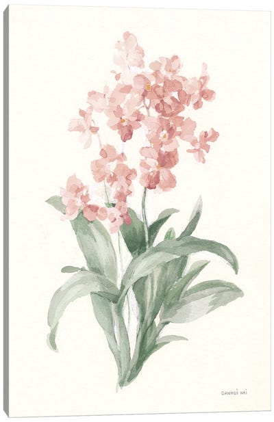Spring Orchid I Canvas Art Print - Orchid Art