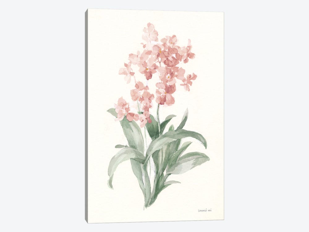 Spring Orchid I by Danhui Nai 1-piece Art Print