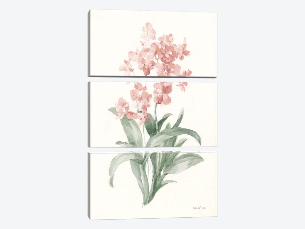 Spring Orchid I by Danhui Nai 3-piece Canvas Art Print