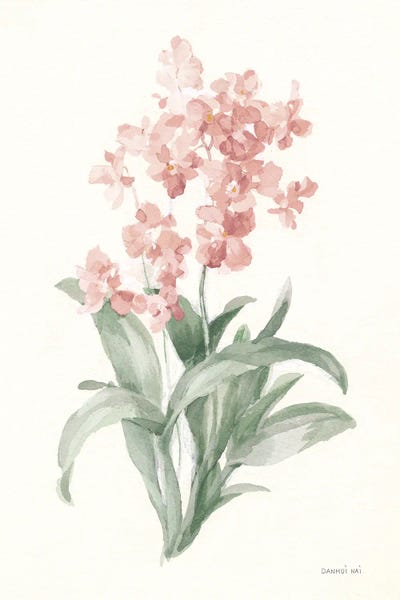 Orchids: Spring Orchid I by Danhui Nai