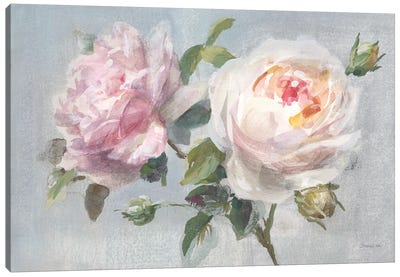 Light Lovely Roses Canvas Art Print - Danhui Nai