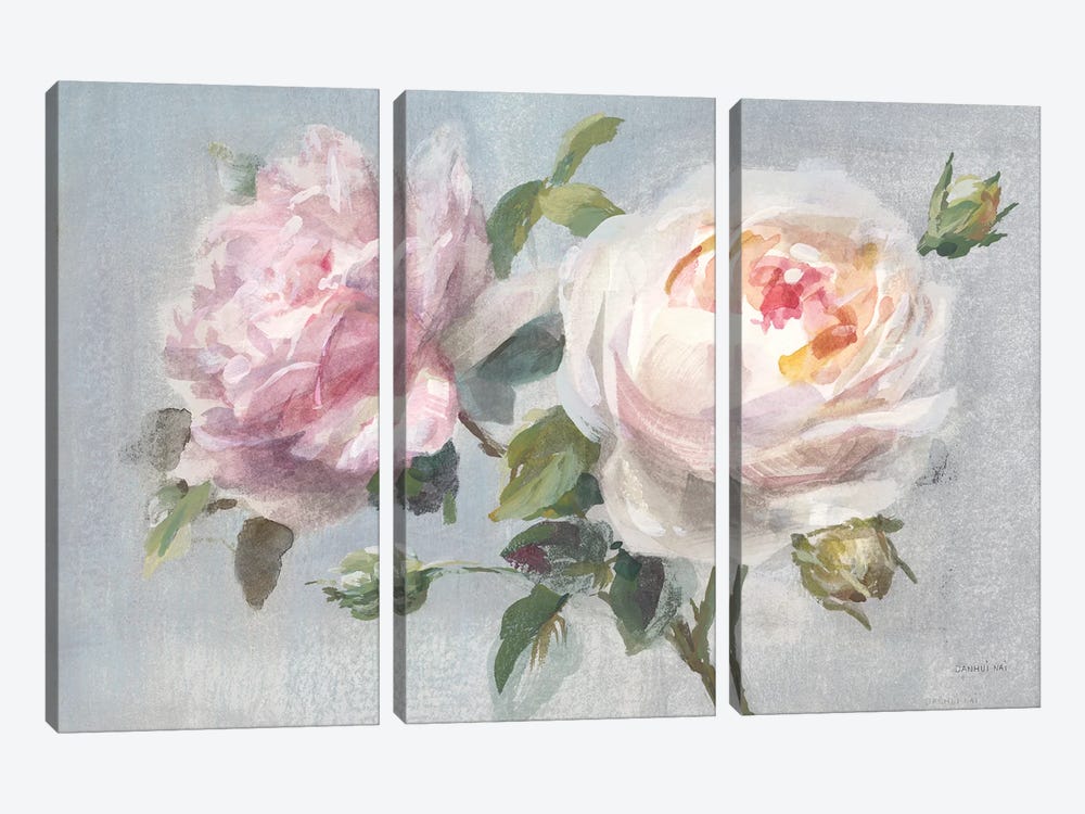 Light Lovely Roses by Danhui Nai 3-piece Canvas Artwork