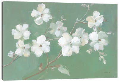 Blossoms on Sage Canvas Art Print - Blossom Art