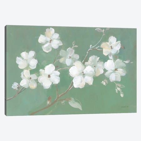 Blossoms on Sage Canvas Print #NAI408} by Danhui Nai Canvas Art Print