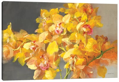 Orchid Dreaming Canvas Art Print - Orchid Art