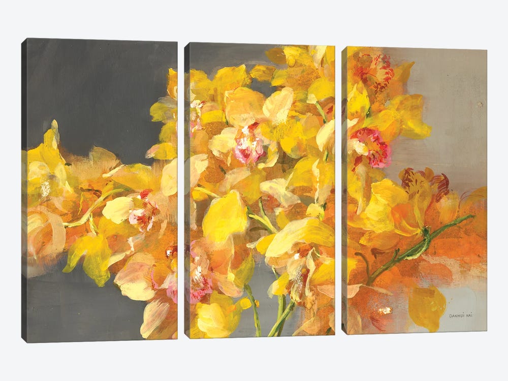 Orchid Dreaming by Danhui Nai 3-piece Canvas Wall Art