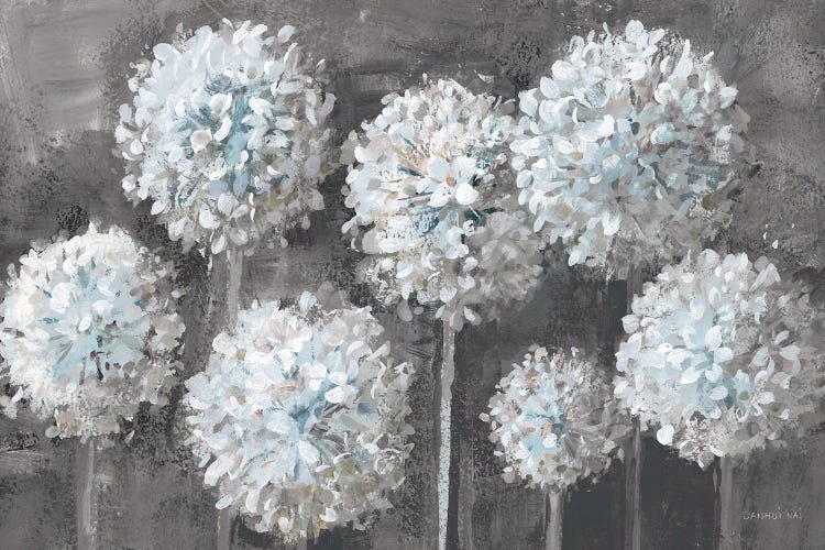 Simple Agapanthus Gray by Danhui Nai wall art