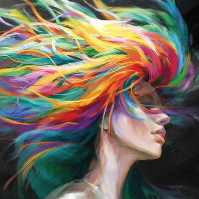 Rainbow Hair by Danhui Nai framed canvas print
