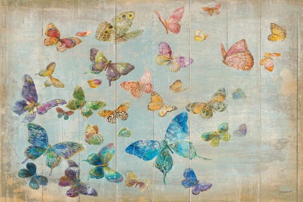 Butterflies: Butterflies by Danhui Nai