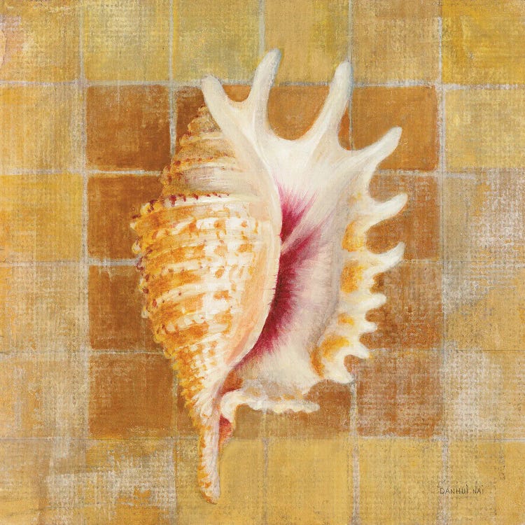 Seashell II