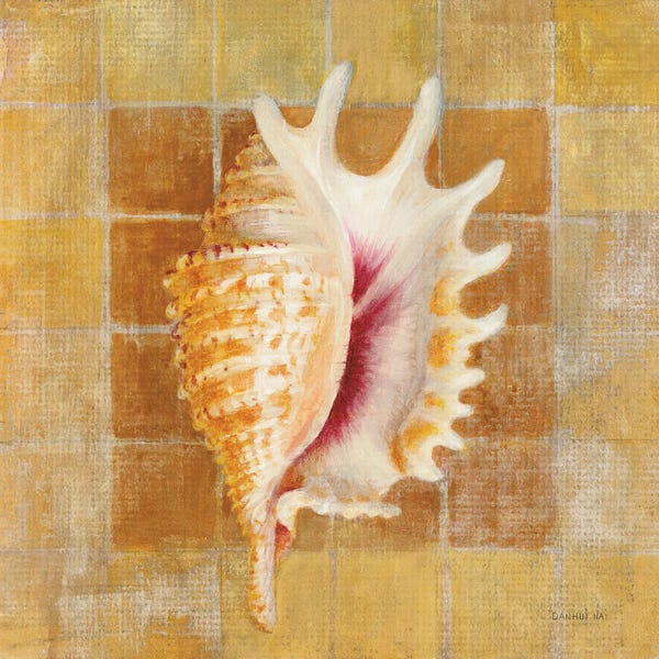 Danhui Nai: Seashell II by Danhui Nai