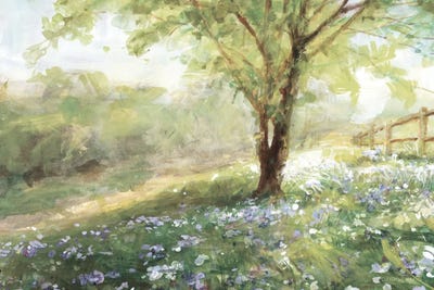 Field of Bluebells Neutral by Danhui Nai canvas print
