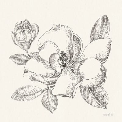 Flower Sketches II by Danhui Nai canvas print