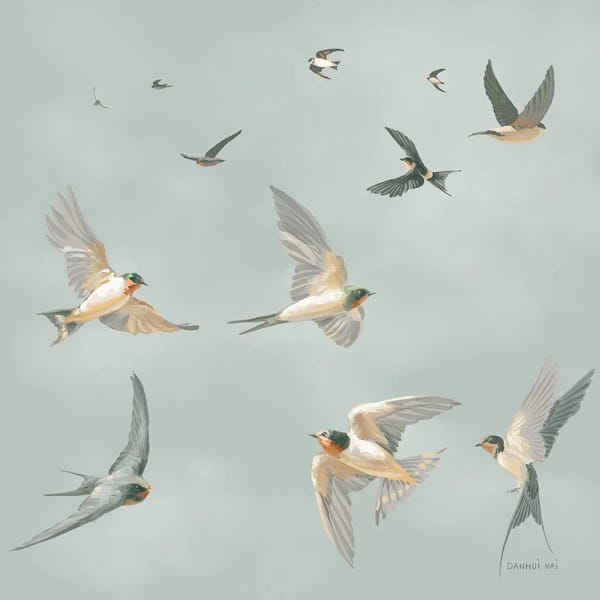 Swifts