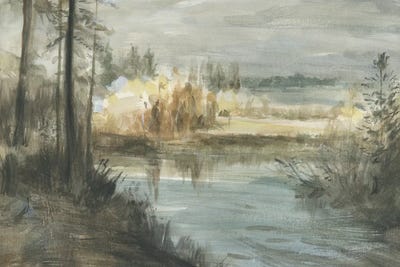 Calming Coves by Danhui Nai art print