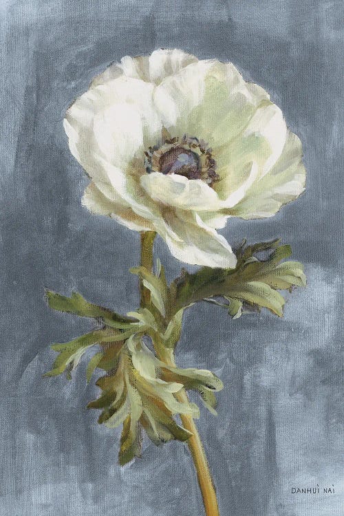 Anemone On Dusty Blue by Danhui Nai wall art