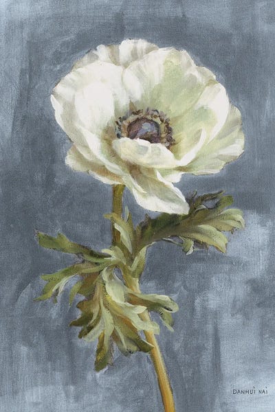 Anemone On Dusty Blue