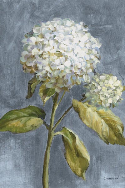 Hydrangeas: Hydrangea On Dusty Blue by Danhui Nai