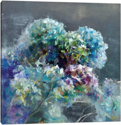 Abstract Hydrangea Dark Canvas Art Print - Best Selling Floral Art