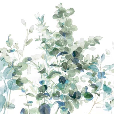 Eucalyptus I Cool by Danhui Nai framed canvas print