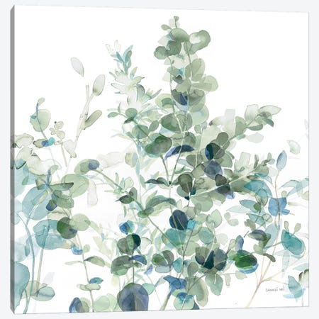 Eucalyptus I Cool Canvas Print #NAI60} by Danhui Nai Canvas Wall Art