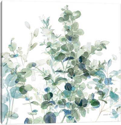 Eucalyptus I Cool Canvas Art Print - Danhui Nai