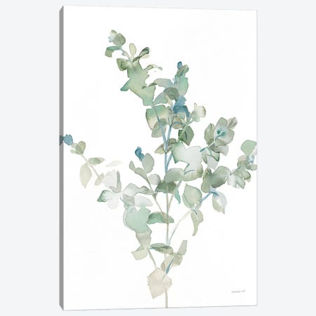 Eucalyptus II Cool Canvas Print #NAI61} by Danhui Nai Canvas Artwork