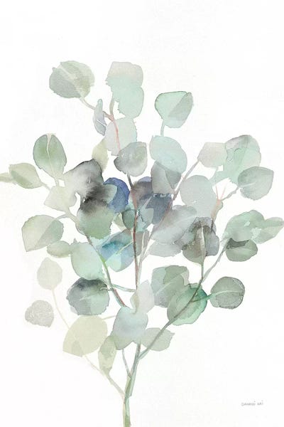 Eucalyptus III Cool by Danhui Nai framed canvas print