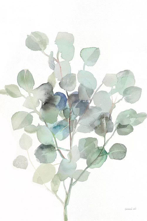 Eucalyptus III Cool