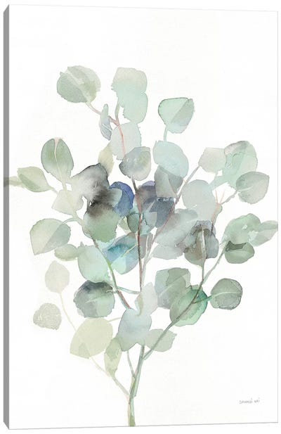 Eucalyptus III Cool Canvas Art Print - Danhui Nai