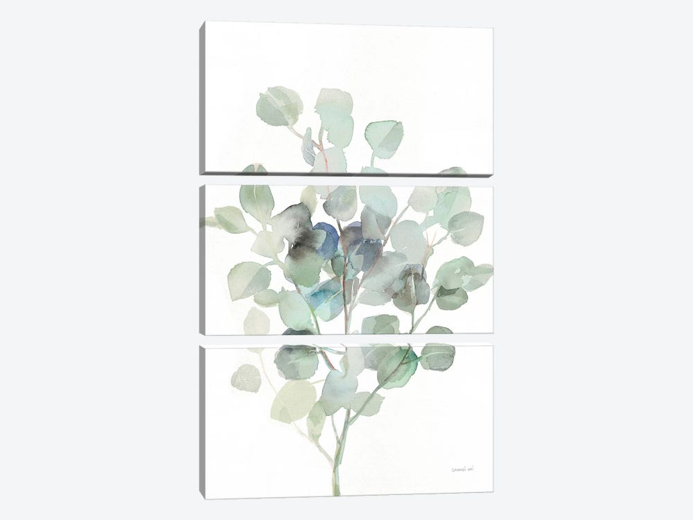 Eucalyptus III Cool by Danhui Nai 3-piece Canvas Art Print