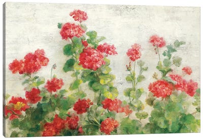 Red Geraniums on White Canvas Art Print