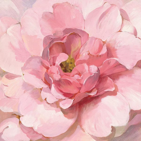 Peonies: Blushing Peony by Danhui Nai
