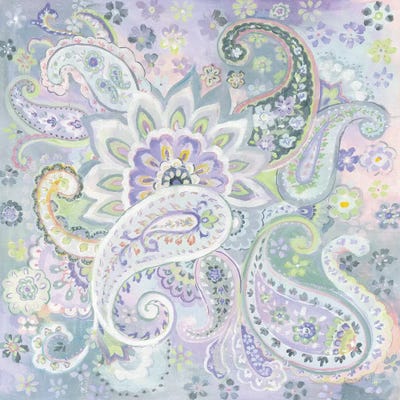 Paisley Dream by Danhui Nai framed canvas print