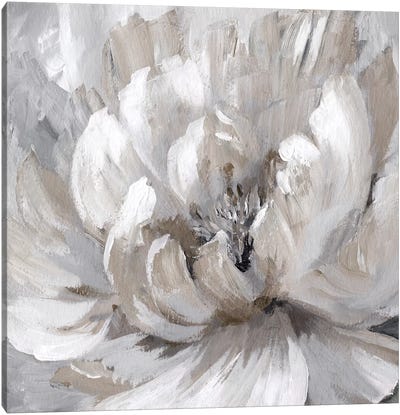 Burst Of Spring Canvas Art Print - Gray & White Art