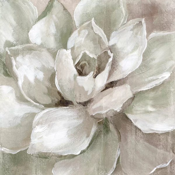 Succulents: Hazy Summer Succulent by Nan