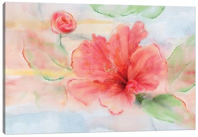 Hibiscus Canvas Art Print - Nan
