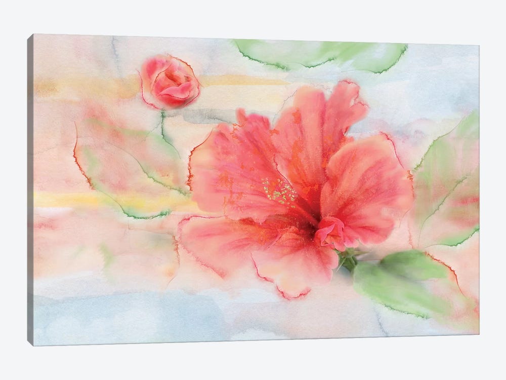 Hibiscus by Nan 1-piece Canvas Art