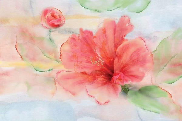Nan: Hibiscus by Nan